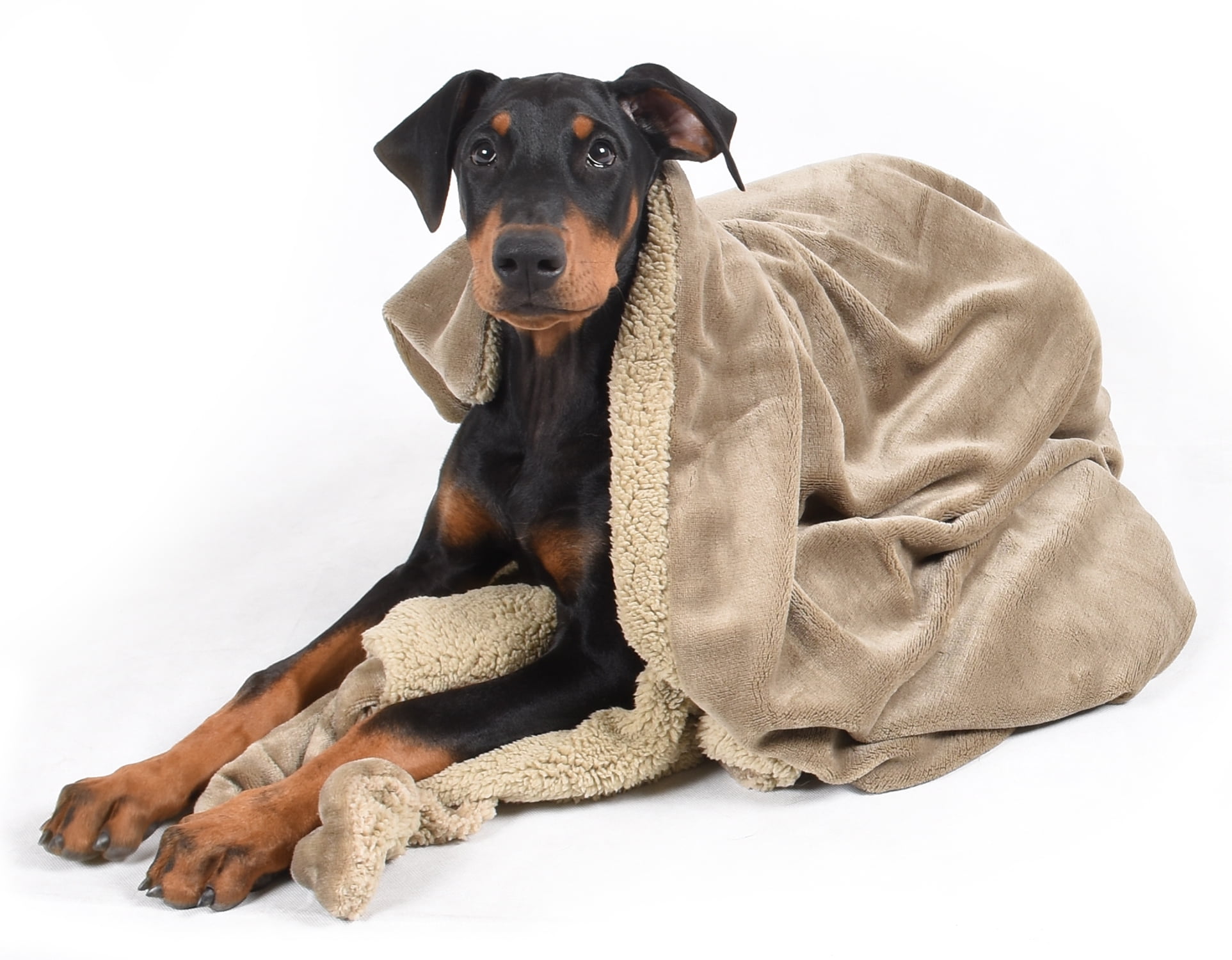 Dog Blankets for Large Dogs,Super Soft Warm Sherpa Fleece Plush Doggie Blankets and Throws for Small Medium Puppy Doggy Pet Cats