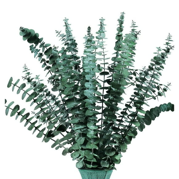 16Pcs-Preserved-Dried-Eucalyptus-Branches 17In Fresh Eucalyptus Plant for Shower Real Eucalyptus Bunch for Vase Filler