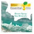 thumbnail image 2 of Air Wick Scented Oil Air Freshener, Ocean Spray, 9 refills, 2 of 5
