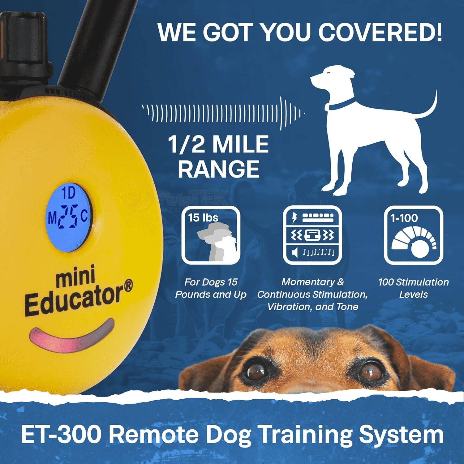 E-Collar  ET-300/302 Mini Educator Replacement Remote Transmitter - ½‑Mile Dog Remote with 100 Levels, Tone & Vibration, Waterproof, 1 Humane‑Dog System