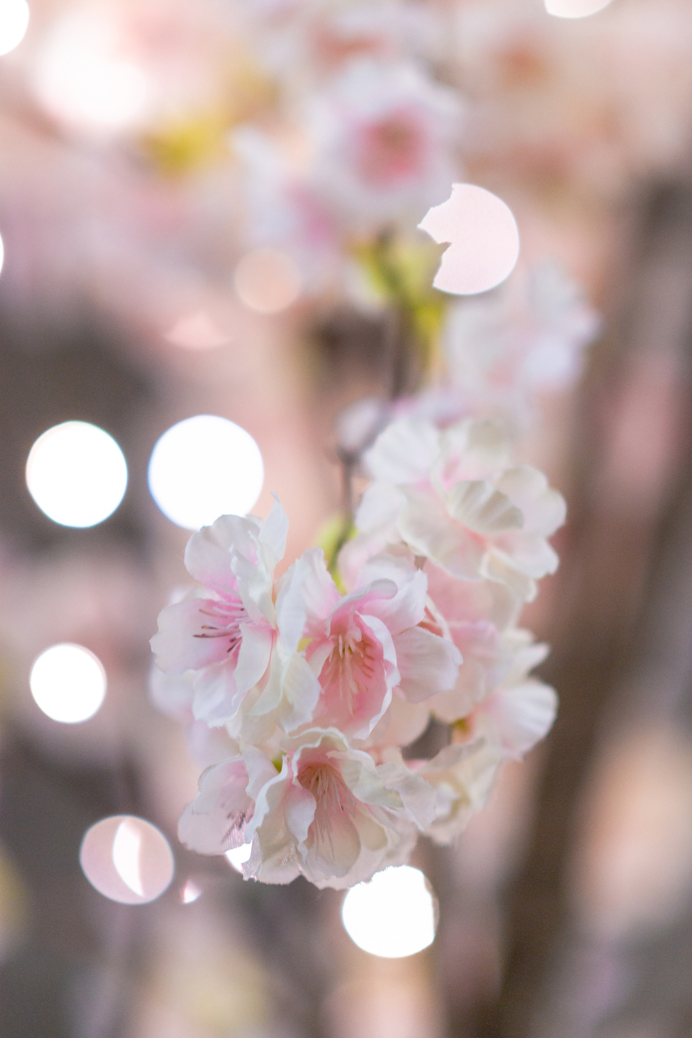Large Pink Cherry Blossom Tree With 288 Warm White Led