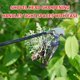 thumbnail image 3 of Herramienta extractora de malas hierbas, 2023 nueva herramienta duradera para tirar de malas hierbas de jardín, herramienta portátil para jardín para jardinería de verduras en el patio trasero (m, 3 of 4