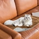 thumbnail image 5 of Decoración del hogar, decoración de habitaciones, decoración de paredes, tapete de lana para mascotas, tapete de invierno para perros, tapete cálido y grueso para dormir para gatos, manta para arena p, 5 of 6