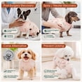thumbnail image 5 of Kuoser Dog Surgical Recovery Suit Dog Cat Onesie after Surgery,Peach,XL, 5 of 9