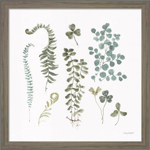 Great Art Now Fern Study 03 by Lisa Audit, Framed Wall Art, 13W x 13H