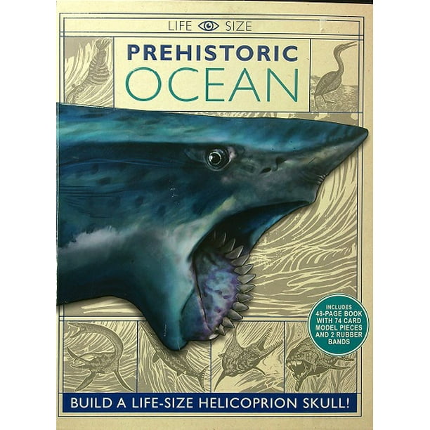 Prehistoric Ocean: Build a Life-Size Helicoprion Skull! (Life-Size) -  Walmart.ca