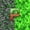 Green Brown P, variant on Castle Fairy Pixelated Miners Letter B Black Out Curtains for Kids,Gaming Blocks Curtains Pack of 2 (42x63 Each)