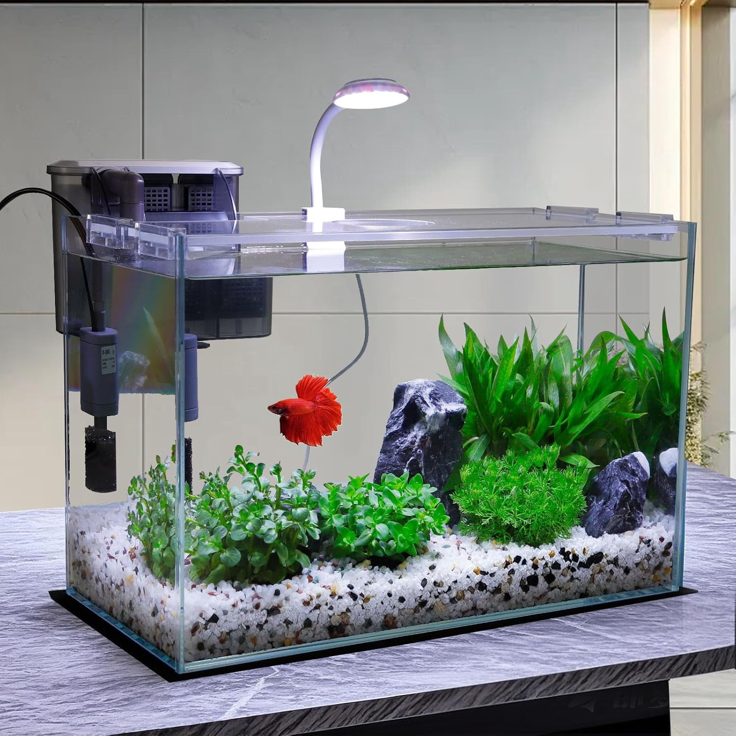 3 Gallon Glass Fish Tank with Filter Light and Lid, Aquarium Starter Kit