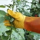 thumbnail image 3 of Guantes de jardinería YONGSHENG guanteletes de cuero de vaca a prueba de cortes y espinas, 3 of 5