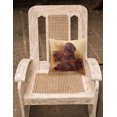 thumbnail image 2 of Carolines Treasures HMHE0181PW1414 Portrait Irlandais Rouge par Michael Herring Coussin Décoratif en Toile, 2 of 4