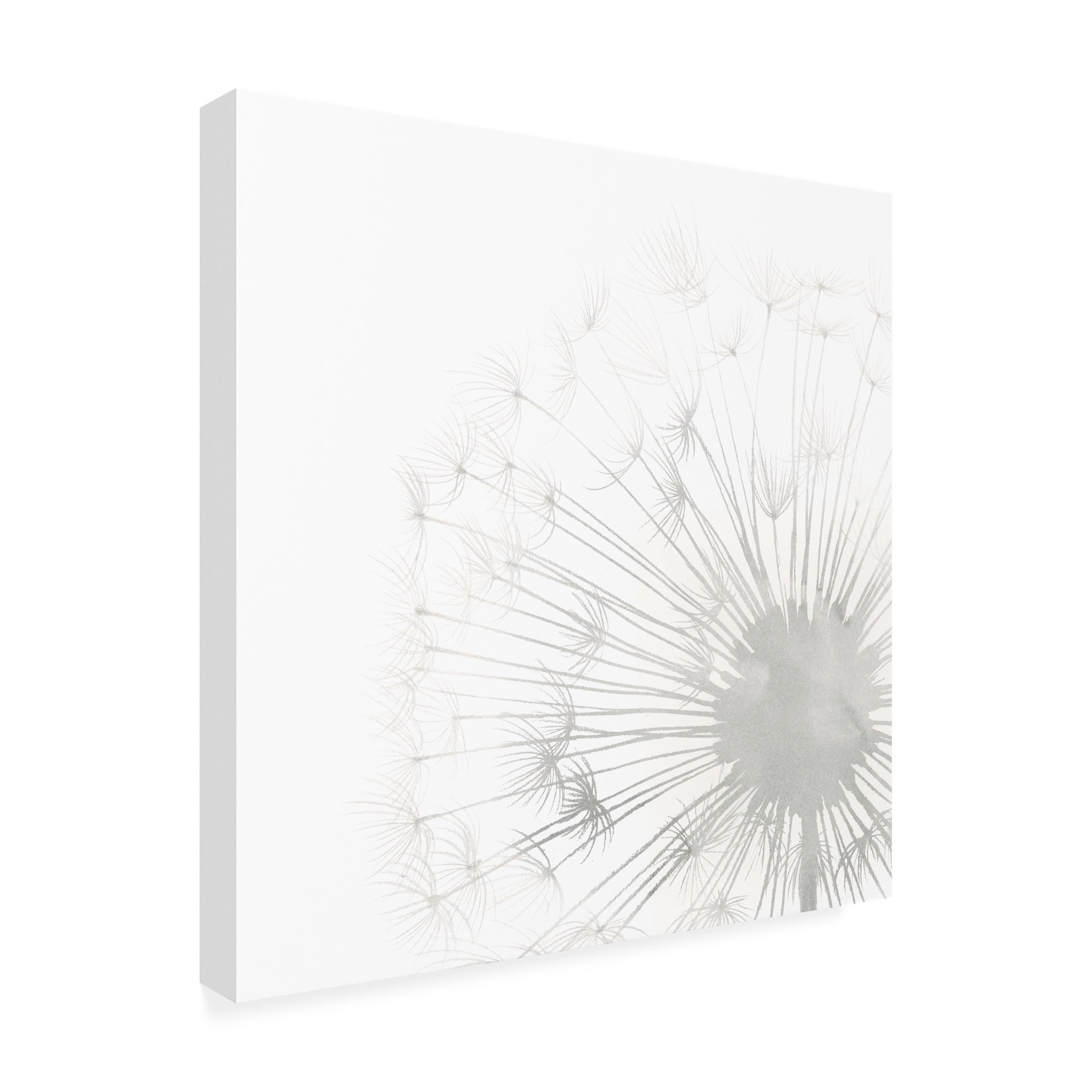 Grace Popp 'Dandelion Whisper II' Canvas Art