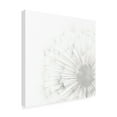 thumbnail image 2 of Grace Popp 'Dandelion Whisper II' Canvas Art, 2 of 3