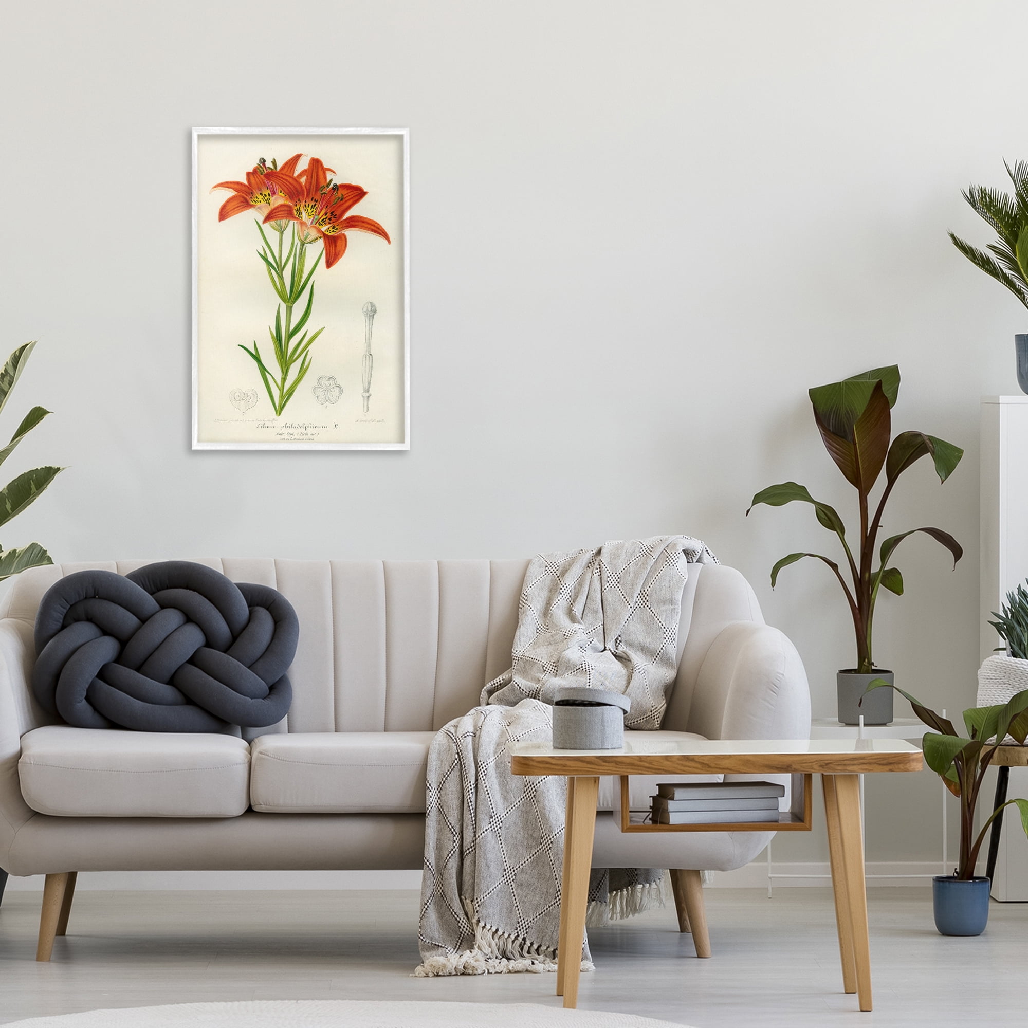 Stupell Industries Western Red Lily White Framed Giclee Art, design by Print Collection