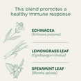 thumbnail image 3 of Traditional Medicinals Tea, Organic Echinacea Plus, Tea Bags, 16 Count, 3 of 8