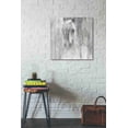 thumbnail image 2 of Epic Graffiti 'Shadow Gray' by Albena Hristova, Canvas Wall Art, 26"x26", 2 of 2