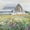 Country Fields, variant on Elephant Stock Dandelion Field Wall Art - Horizontal Canvas Wall Art - Living Room Wall Decor - Floral And Botanical Canvas - Orange And Yellow Decor - 12" x 8"