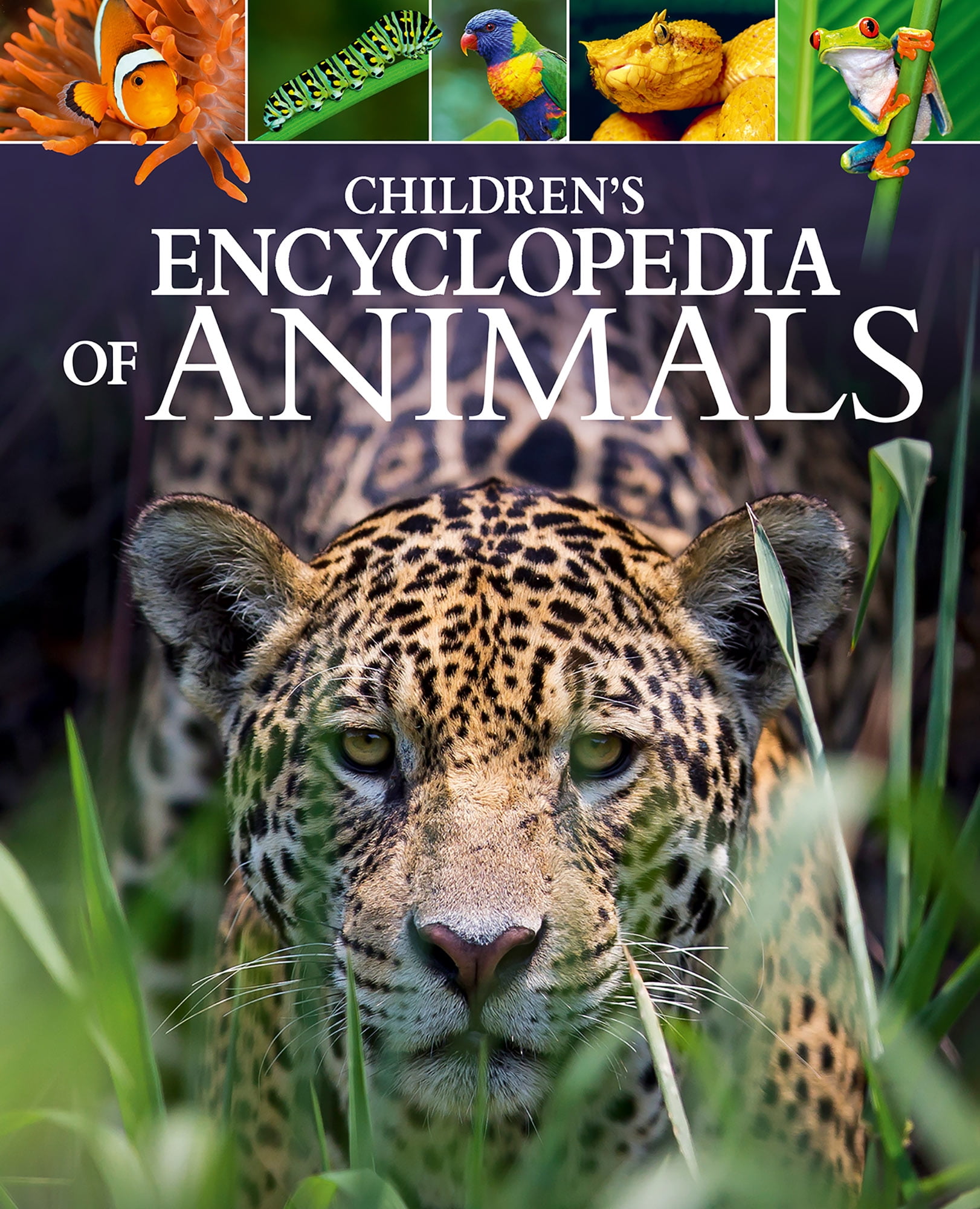 Arcturus Children's Reference Library Children's Encyclopedia of