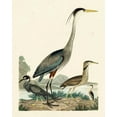 thumbnail image 2 of Wilson, A. 20x24 White Modern Wood Framed Museum Art Print Titled - Heron Family I, 2 of 4
