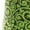 Green, variant on World of Leggings Buttery Soft Green Irish Vine Joggers - Medium