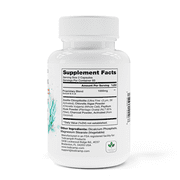 SORBOLIT Colon Cleanse Formula + Debloat - Zeolite Detox, Chlorella, Activated Charcoal & Psyllium Husk Fiber for Gut Health, Gut Cleanse, Colon Detox & Digestive Balance – 120 Vegan Capsules