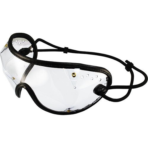 Birdz Lunettes de Sport de Parachutisme Alpine Noires avec Lentille Transparente Résistante aux Rayures