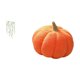 thumbnail image 5 of Adhesivo de pared,Vinilo decorativo de pared con enredaderas colgantes para dormitorio (DIY),Almohadas de calabaza de Halloween,Cojines de calabaza de Halloween,suaves,para decoración del, 5 of 8