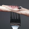 thumbnail image 3 of Plastic Flies Toy Fake Fly Bugs Fake Plastic Insect Fly Toys Trick Joke Toys, 3 of 3