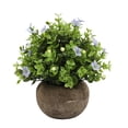 thumbnail image 2 of FENGGHAO Artificial Potted Plant Small Fake Eucalyptus Tabletop Succulent For Desk Home Office Decor Yellow, 2 of 7