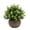 E, variant on Artificial Plants In Indoor Pots, Ongmies Mini Plastic Faux Plants, Small Artificial Potted Plants, Greenery In Hemispherical Pots for Table & Home Decor