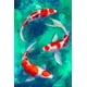 thumbnail image 3 of Pósteres e impresiones de peces de la suerte, carpas koi y flores, impresión en lienzo de acuarela para sala de estar, dormitorio, arte de pared, decoración del hogar, 3 of 5