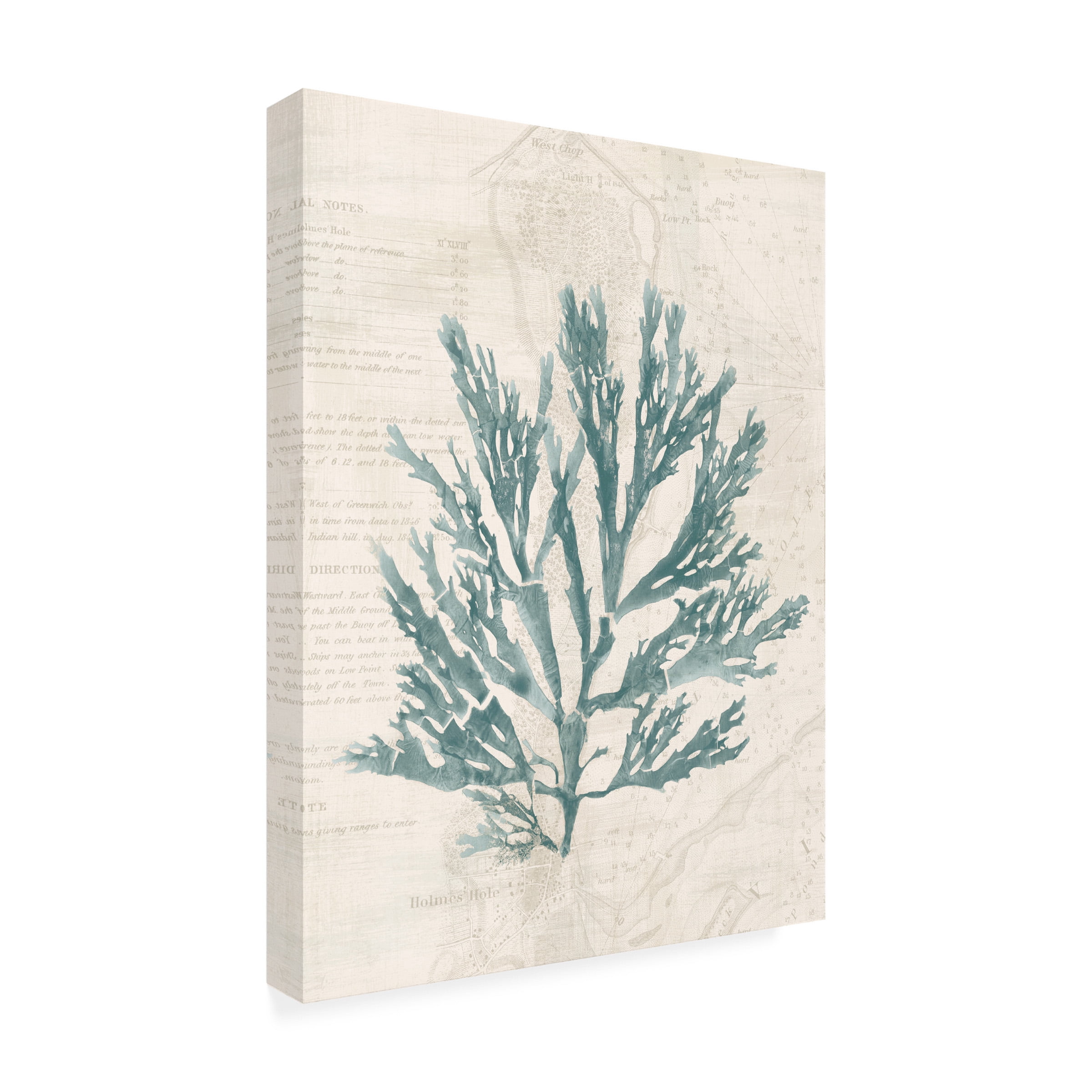 Wild Apple Portfolio 'Pacific Sea Mosses I Borderless' Canvas Art