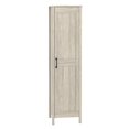 thumbnail image 1 of Sauder Miscellaneous Storage Engineered Wood Cabinet in Spring Maple, 1 of 11