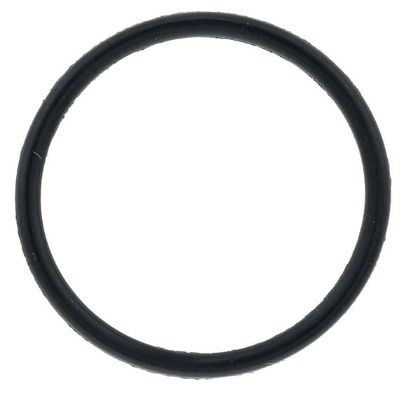 Ski-Doo 293300041 OEM Crankcase O-Ring for 2005-2019 Expedition Grand Touring GSX GTX MXZ