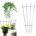 thumbnail image 2 of Garden Climbing Support Frame Creative Flower Pot Stand Climbing Pergola Metal Wrought Fixed Pole, 2 of 7