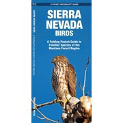 Wildlife and Nature Identification: Sierra Nevada Birds : A Folding Pocket Guide to Familiar Species of the Montane Forest Region (Other)