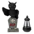 thumbnail image 1 of HORIALENCE Statue en Résine Décorative Hibou Délicat pour Maison et Jardin 26x16.5Cm, 1 of 2