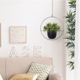 thumbnail image 4 of Wdftyju Maceta colgante para colgar en la pared, decoración de cesta para plantas oscilantes suculentas para balcón Wdftyju 5dd0xy9cu4mh2cs4D01, 4 of 9