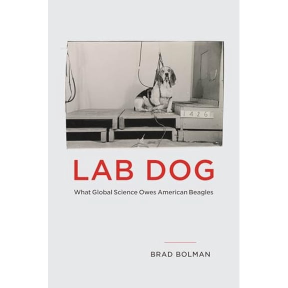 Pre-Owned Lab Dog: What Global Science Owes American Beagles Paperback