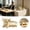 B 1PC, variant on Monjani 1PC Multi-Use Animal Catchall Bowl for Home Container Keys Jewelry Decorative Bowl for Animal Lover & Enthusiasts Home Entryway Living Room Bedroom Desktop Organizer