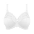 thumbnail image 3 of Elomi Morgan Stretch Lace Banded Underwire Bra (4111),34GG,White, 3 of 5