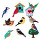 thumbnail image 1 of Juego de costura artesanal para , de fieltro y pájaros, animales de peluche, costura de guardería para , costura de animales para , Pájaro Macarena juguetes de costura, 1 of 8
