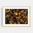 thumbnail image 2 of Autumn - Brooklyn New York Photography Autumn Nature Woodland Rustic Botanical Moody Unframed Wall Art Print 4 x 6 inches, 2 of 7