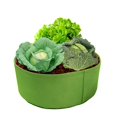 thumbnail image 3 of Plants Growing Bags Large Capacity Indoor Outdoor Planting Accessory Heavy Duty, 3 of 5