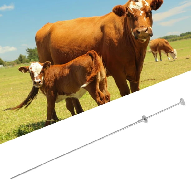 HERRAMIENTA DE INSEMINACIÓN DE VACAS, MENOS FUGAS DE VARILLA Inseminante Resistencia artificial A la Corrosión de Aperta 304 Acero inoxidable para granja doméstica