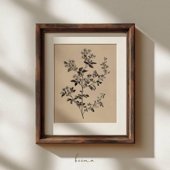Vintage Floral Print: Minimal Flowers Art Antique Drawing Cottagecore Flower Wall Art UNFRAMED Poster, Wall Art for Decor, Present, 8x12