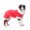 C., variant on Lynono Co.,Ltd 1/64 Scale Resin Pet Miniature Model Handcrafted Detailed Collectible Home Decors
