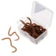 thumbnail image 2 of 20Pcs / Caja Artificial 9cm Lombriz Lombrices de Cebos Suaves Olor Señuelos de Pesca, 2 of 7