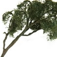 thumbnail image 4 of Modelo de árbol de Arce de 4.72 para Tren Ferrocarril Juego de Paisaje OO Escala 1:75 Zulema, 4 of 7