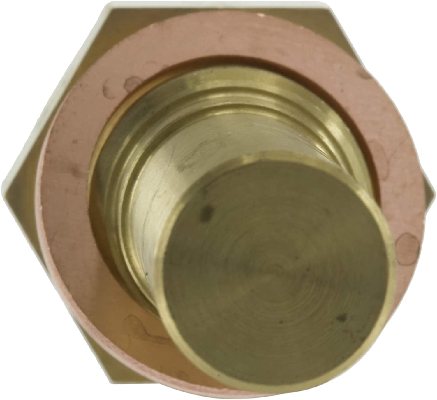 WVE 1S5246 Exhaust Gas Recirculation (EGR) Time Delay Switch