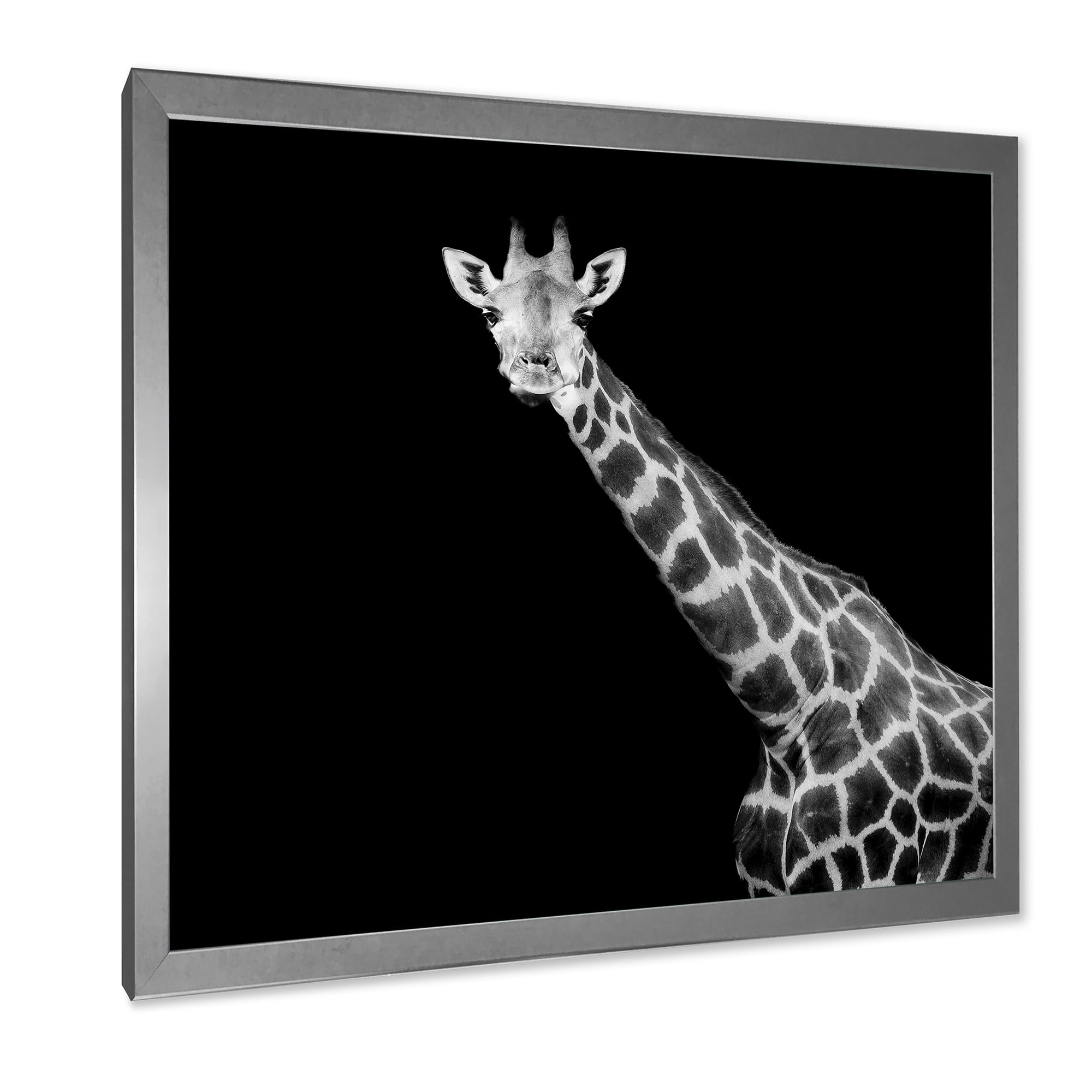 Designart 'Close Up Portrait Of A Giraffe On Black I' Farmhouse Framed Art Print